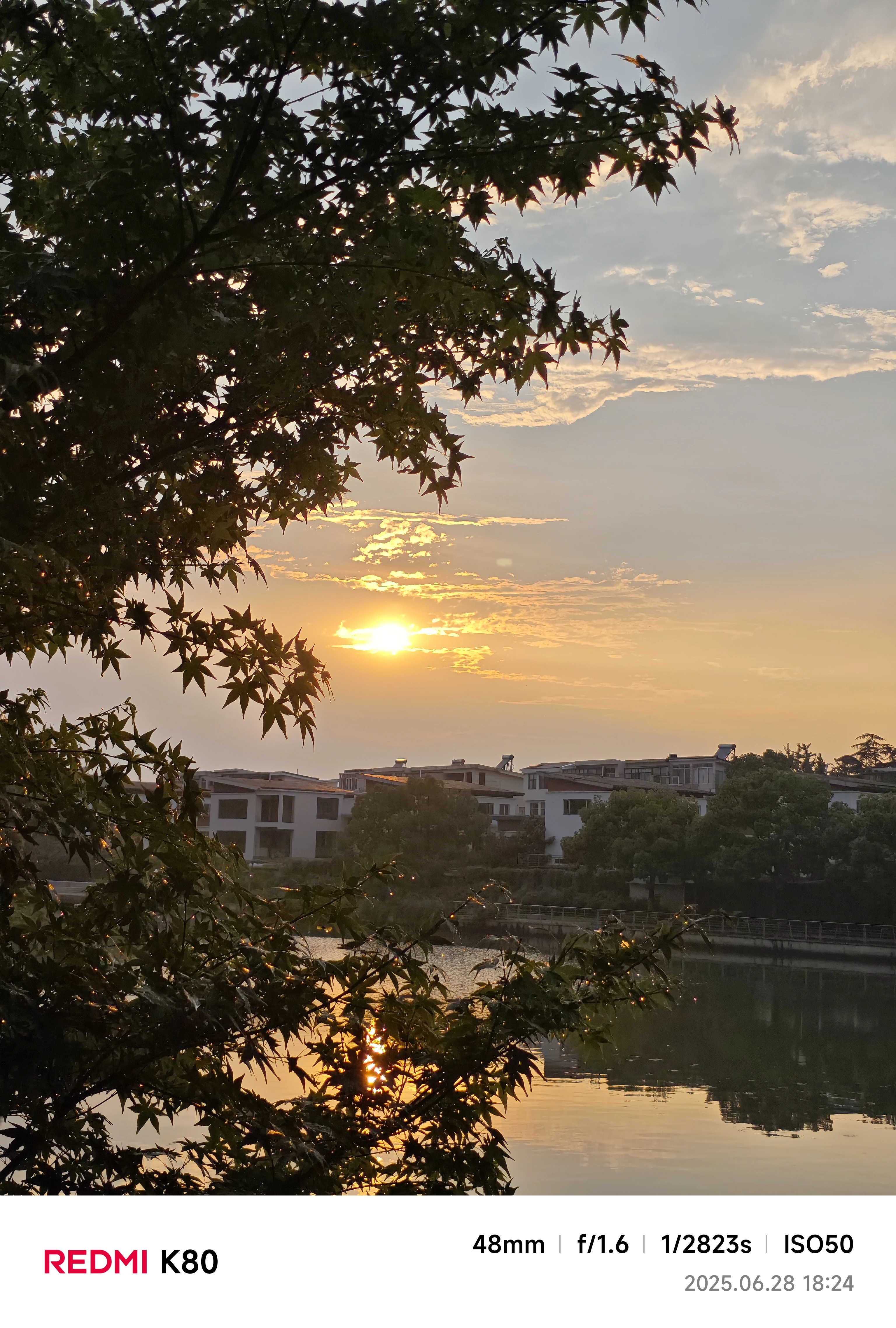 微信图片_2025-06-29_230349_604.webp